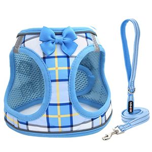 lot 21188 image: JdotMIN Plaid Dog Harness and Leash Set, for Extra Small to Small Dog and Cat Vest Harness No Pull, Escape Proof, for Walking Puppy and Kitten, for Travel and Car (Blue, XXS)