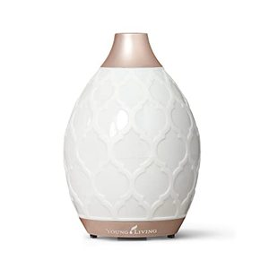 lot 21193 image: Young Living Desert Mist Ultrasonic Essential Oil Diffuser - Elevate Your Atmosphere with Soothing Aromatherapy - Stylish Design for Home and Office