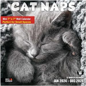 lot 21249 image: Small Spaces Mini Wall Calendar - Cat Naps 2024 Hangable Monthly by Red Ember  Only 7 x 14 Open  Thick & Sturdy Paper  Giftable  Kids Teen Cute Funny Kitten  Sweet, Sweet Sleep