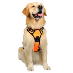 lot 21318 image: rabbitgoo Dog Harness, No-Pull Pet Harness with 2 Leash Clips, Adjustable Soft Padded Dog Vest, Reflective No-Choke Pet Oxford Vest with Easy Control Handle for Large Dogs,Orange,L