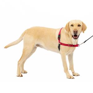 lot 21803 image: PetSafe Easy Walk No-Pull Dog Harness - The Ultimate Harness to Help Stop Pulling - Take Control & Teach Better Leash Manners - Helps Prevent Pets Pulling on Walks - Large, RedBlack