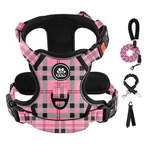 lot 21927 image: IVY&LANE No Pull Dog Harness with Leash Set, Reflective No Choke Pet Vest,Adjustable Oxford Dog Vest Harness with Easy Control Handle for Small Dogs (Checkered Pink,XS)