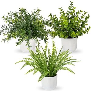 lot 21957 image: Hollyone 3 Pack Fake Plants Artificial Plants in Pots Small Faux Plant Eucalyptus Rosemary Boston Fern Potted Plant Greenery Aesthetic Indoor Home Decor Bathroom Bedroom Table Shelf Office Decorations