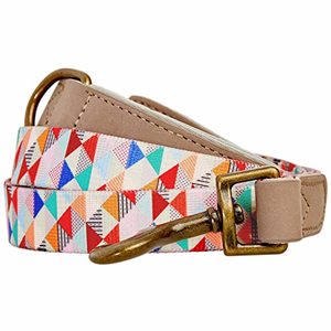 lot 22842 image: Blueberry Pet Shades of Rainbow Multicolor Triangles Polyester Fabric Webbing and Soft Genuine Leather Dog Leash with Soft & Comfortable Handle, 6 ft x 1, Leashes for Dogs