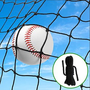 lot 22860 image: Wiseek 10x10 Baseball Softball Backstop Nets, Heavy Duty Sports Netting Barrier Net #18 Nylon Baseball Netting Black Net