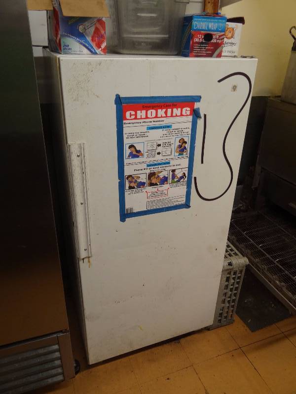 lot 5207 image: GE Upright Single Door Reach In Freezer