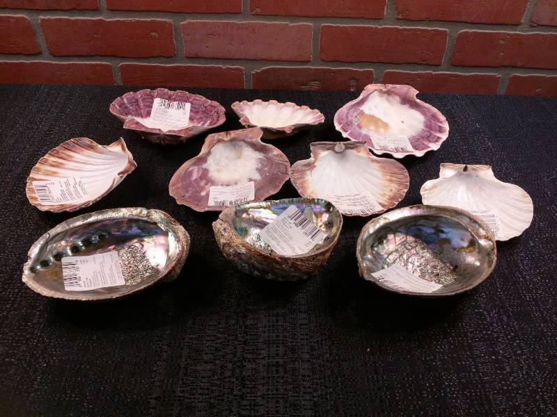 lot 13 image: Lot of Shell Dishes