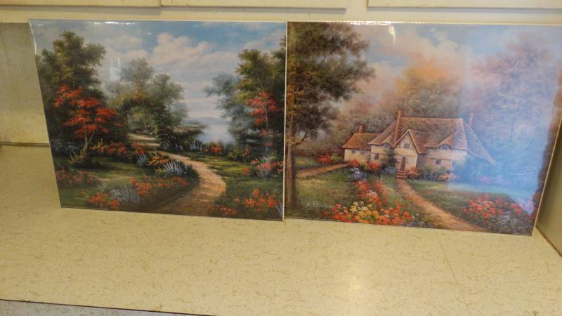 lot 295 image: 2 awesome pictures with awesome colors