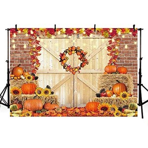 lot 67789 image: MEHOFOND Thanksgiving Fall Backdrop for Photography Autumn Pumpkin Baby Shower Decorations Thanksgiving Harvest Maple Leaves Sunflower Rustic Wood Background Party Supplies Photobooth Banner 7x5ft
