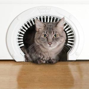 lot 67935 image: Cat Door for Interior Doors with Grooming Brush - Large Pet Cat Pass for Adult Cats up to 20 Lbs - Easy to Install Pet Door wBrush Plus Detailed Instructions, Screws & Screw Caps