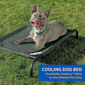 lot 60496 image: Coolaroo The Original Cooling Elevated Dog Bed, Indoor and Outdoor, Medium