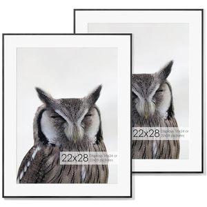 lot 60583 image: 22x28 Metal Picture Frame with 18x24 Mat, Brushed Aluminum Finish, Tempered Glass Front, and Attached Hanging Hardware - Wall Display Frames for Vertical or Horizontal Set of 2 - Black