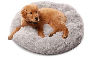 lot 469 image: Premium Dog Bed Retail $23.41 RCY-1