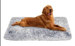 lot 487 image: Dog Bed Retail $19.98 RCY-1