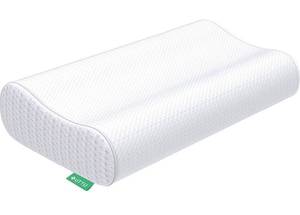 lot 568 image: Sandwich Pillow Retail $59.99 RCY-1