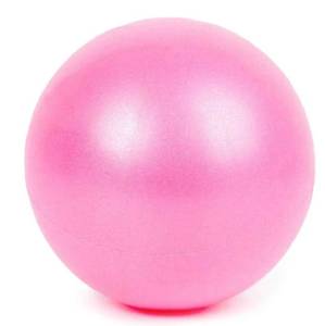 lot 665 image: Isome Exercise Ball Retail $24.70 RCY-1