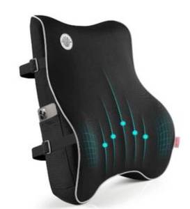 lot 669 image: Lumbar Support Pillow Retail $71.40 RCY-1