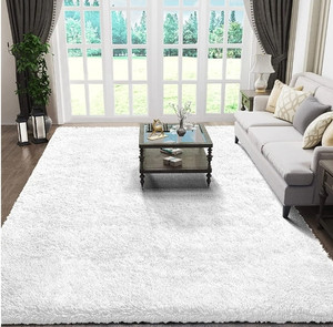 lot 698 image: White Area Rug Retail $58.99 RCY-1