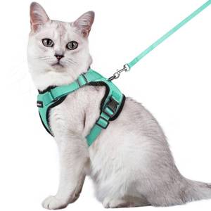 lot 5865 image: rabbitgoo Cat Harness and Leash for Walking, Escape Proof Soft Adjustable Vest Harnesses for Cats, Easy Control Breathable Reflective Strips Jacket, Emerald, M