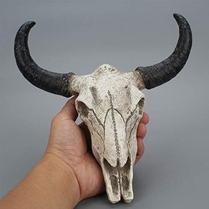 lot 13616 image: Bull Head Skull Wall Hanging Art Cow Skull Wall Plaque 3D Realistic Cow Skull Statue Skeleton Animal Head Wall Home Cow Skull Design Sculpture