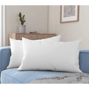 lot 14411 image: Acanva Premium Throw Pillow Inserts with Microfiber Filled, Lumbar Support Decorative Stuffer for Sofa Bed Couch & Chairs, 16x26, 2 Count, White