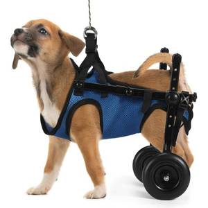 lot 14603 image: Sheripet Adjustable Dog Wheelchair - Perfect Mobility Solution for Small Pets with Paralyzed Hind Legs, Light Weight PetDoggie Wheelchairs - M
