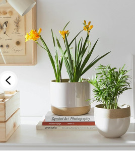 lot 61694 image: SONGMICS Ceramic Plant Pots Indoor, Ceramic Planters for Indoor Plants, 6.5, 5.1-Inch Ceramic Flower Pots, Indoor Planters, with Drainage Hole, Removable Plug, Tan and Sand ULCF008N01