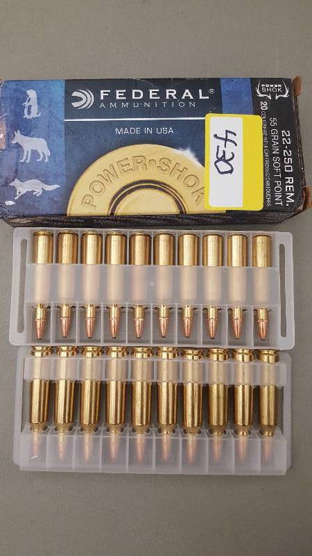 lot 430 image: 20 Rounds of Federal Power Shok 220250 55gr Soft Tip Ammo