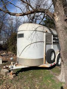 lot 1012 image: Bull Mobile bumper pull stockhorse trailer 10 ft x 5 ft x 75 in interior height with tongue lock installed