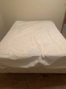 lot 2049 image: Queen size bed with frame. Mattress box springs with mattress protector. Mattress is the Odyssey Located in the basement. Doesn��t include flooring under bed