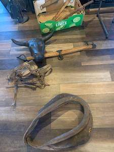 lot 2248 image: Vintage horse equipment and more. Bull head is plastic