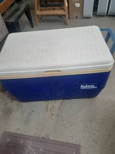 lot 3037 image: Igloo cooler