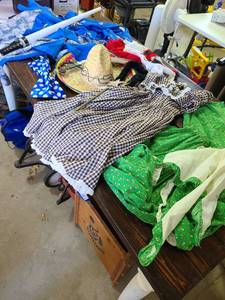 lot 3253 image: Halloween costumes