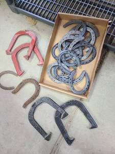 lot 3313 image: Assorted horseshoes