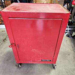 lot 3503 image: Test Rite cabinet on wheels 25 x 20 x