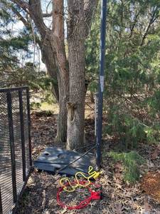 lot 4000 image: Basketball goal post (9 ft) with hoop and ball return