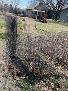 lot 4012 image: Rolls of metal fencing and chicken wire