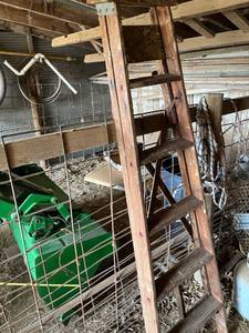 lot 4031 image: 6 foot step ladder
