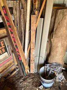 lot 4037 image: Scrap wood, guttering, and branches cut down