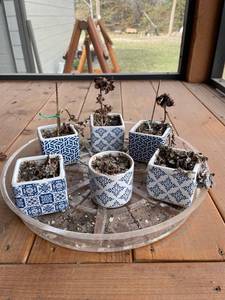 lot 4073 image: Small blue and white pots
