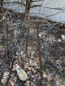 lot 4106 image: Tomato cages