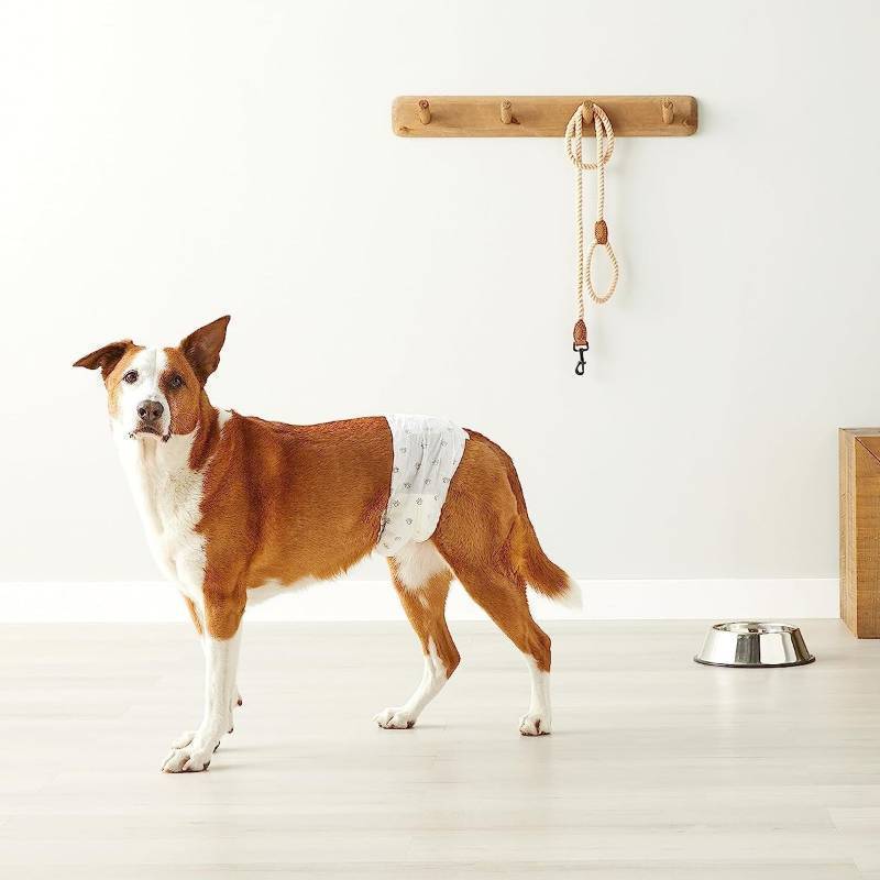 lot 98 image: Male Dog Wrap, Disposable Diapers, Large, Pack of 50