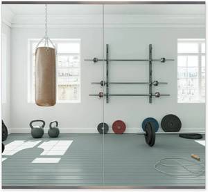 lot 18 image: Honyee Home Gym Mirror, 48 x 24 x 2PCS