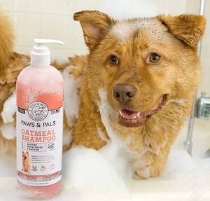 lot 131 image: Dog Shampoo and Conditioner for Itchy Skin, Made in USA - 20oz Vet Formula