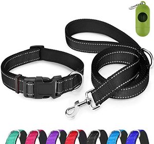 lot 15407 image: Dynmeow Reflective Dog Collar and Leash Set, 6FT Strong Premium Nylon Leash with Padded Handle, Adjustable Pet Collar with Soft Neoprene Padding for Medium Large Dogs (Black,M)