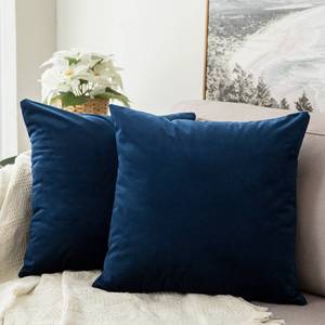 lot 15440 image: MIULEE Pack of 2, Velvet Soft Solid Decorative Square Throw Pillow Covers Set Cushion Case for Spring Sofa Bedroom Car 18x18 Inch 45x45 Cm
