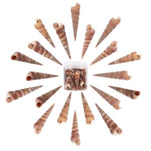 lot 15687 image: SUNNYCLUE 1 Box 120g Spiral Shell Beads No Hole Undrilled Natural Shells Summer Sea Ocean Seashell Beads Vase Fillers for DIY Jewelry Making Kit Craft Home Party Decoration