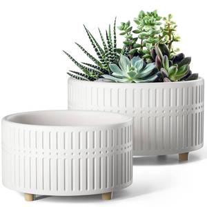 lot 15750 image: LE TAUCI Succulent Pots, 6.58 Inch Ceramic Indoor Plant Pot with Drainage Hole, Modern Round Decorative Flower Pot, Gifts for Mom, Set of 2, Matte White