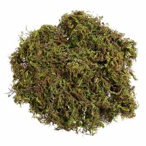 lot 16054 image: VOSAREA 1 Pack Artificial Moss Fake Lichen Simulation Green Faux Pot Moss for DIY Miniature House (About 60g)