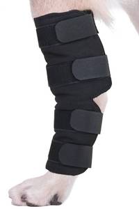 lot 16070 image: AGON Canine Dog Hock Brace Rear Leg Joint Wrap Protects Wounds as They Heal, Compression Wrap, Heals and Prevents Injuries and Sprains Helps with Loss of Stability Caused by Arthritis (Extra Large)